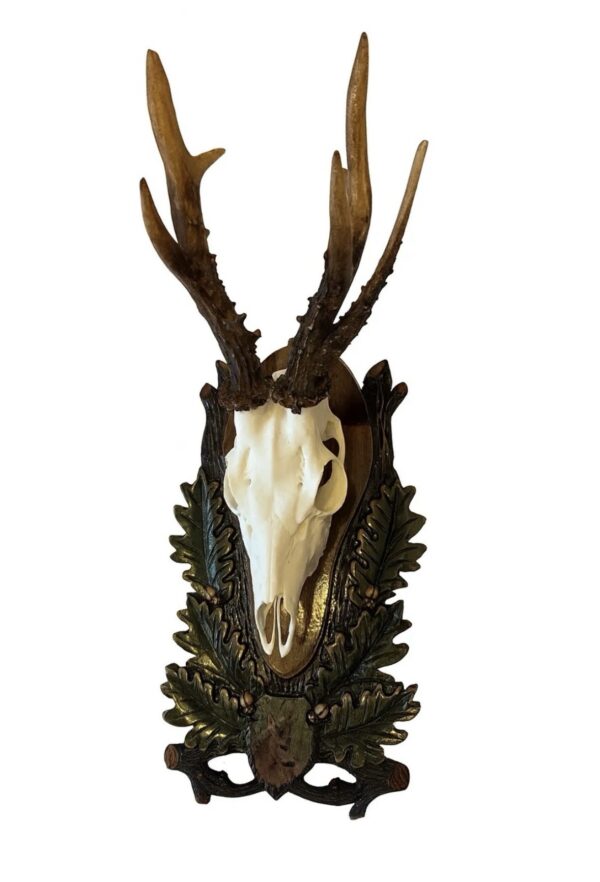 Replica trofeu căprior și panoplie