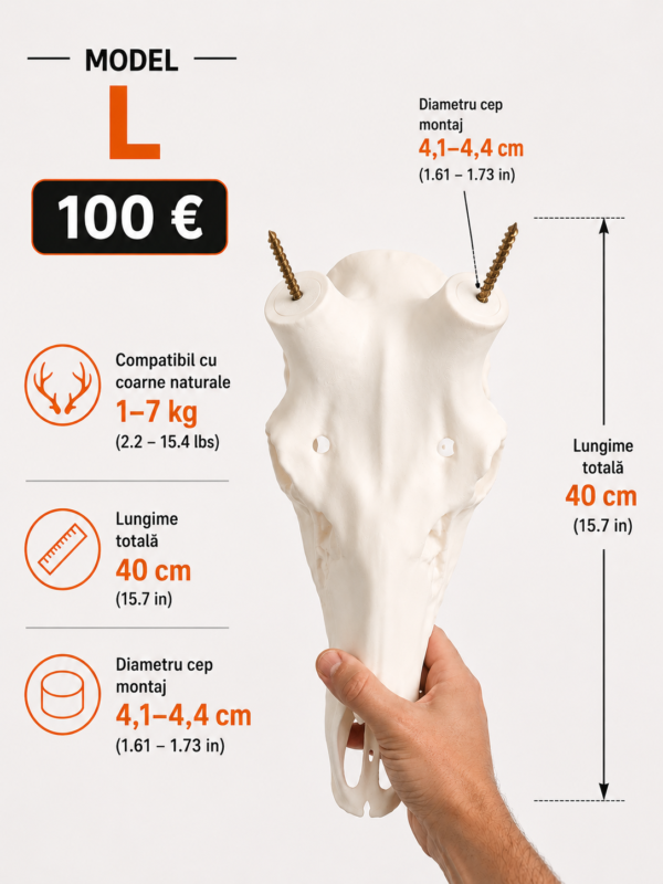 Replica craniu L
