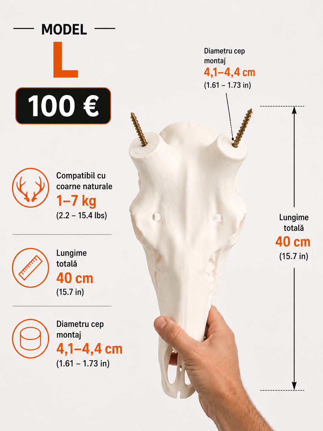 Replica craniu L