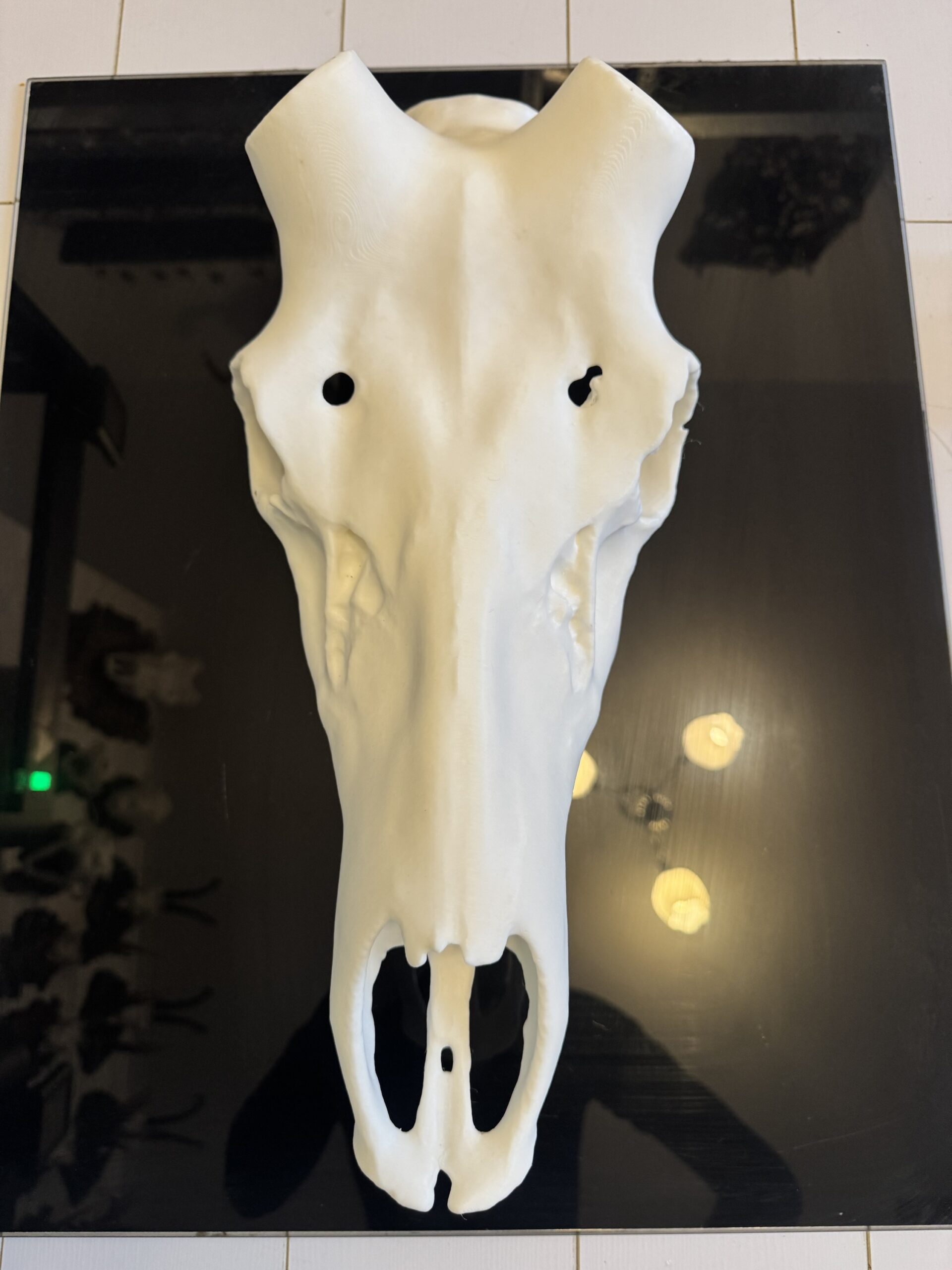 Replica craniu L - imagine 5
