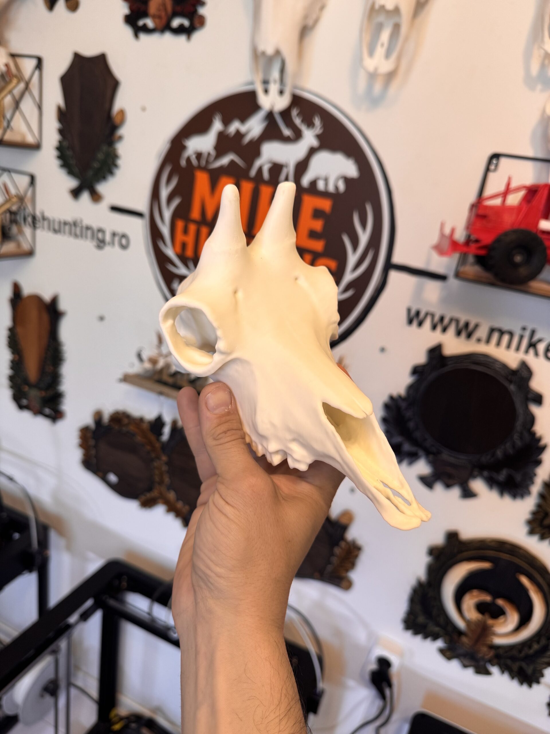 Replica craniu capră neagră - imagine 2