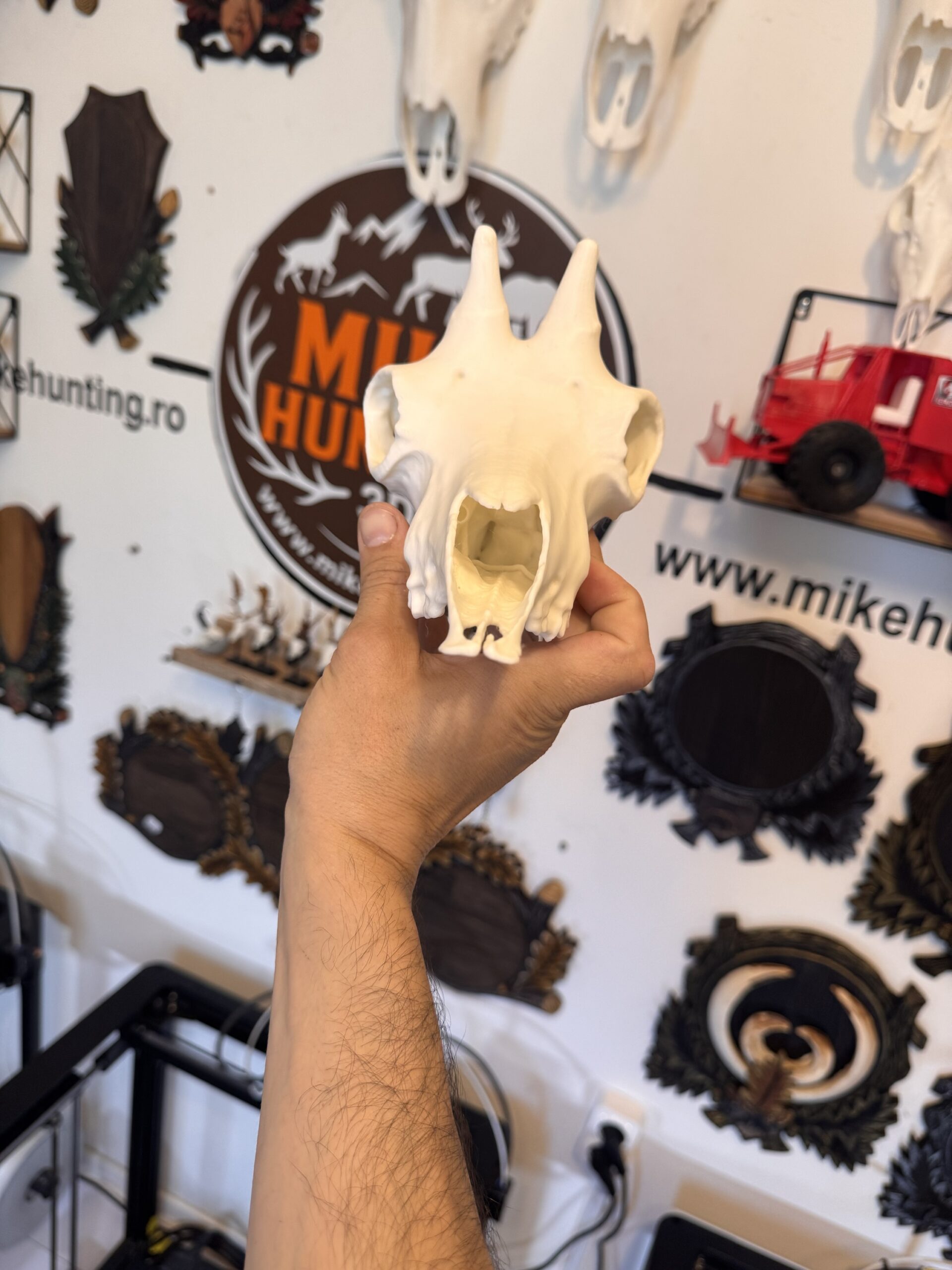 Replica craniu capră neagră - imagine 4